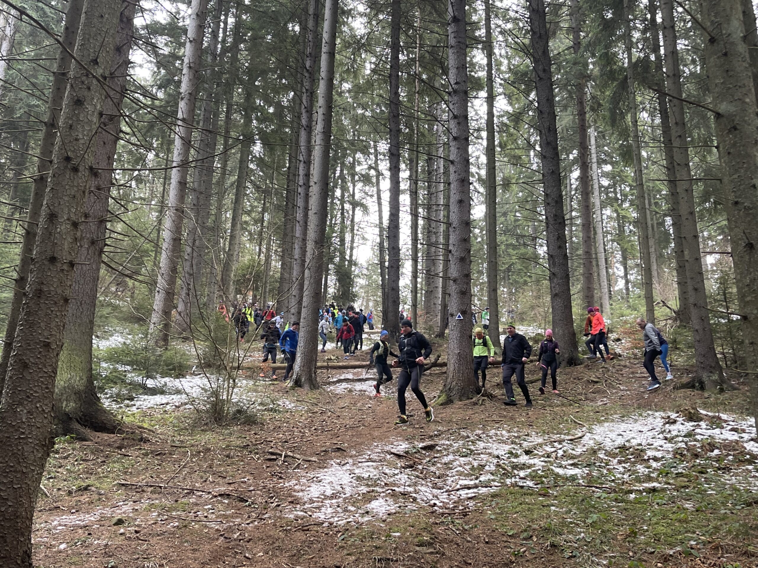 Group of trail runners in a snowy forest – beginner-friendly run through nature.
