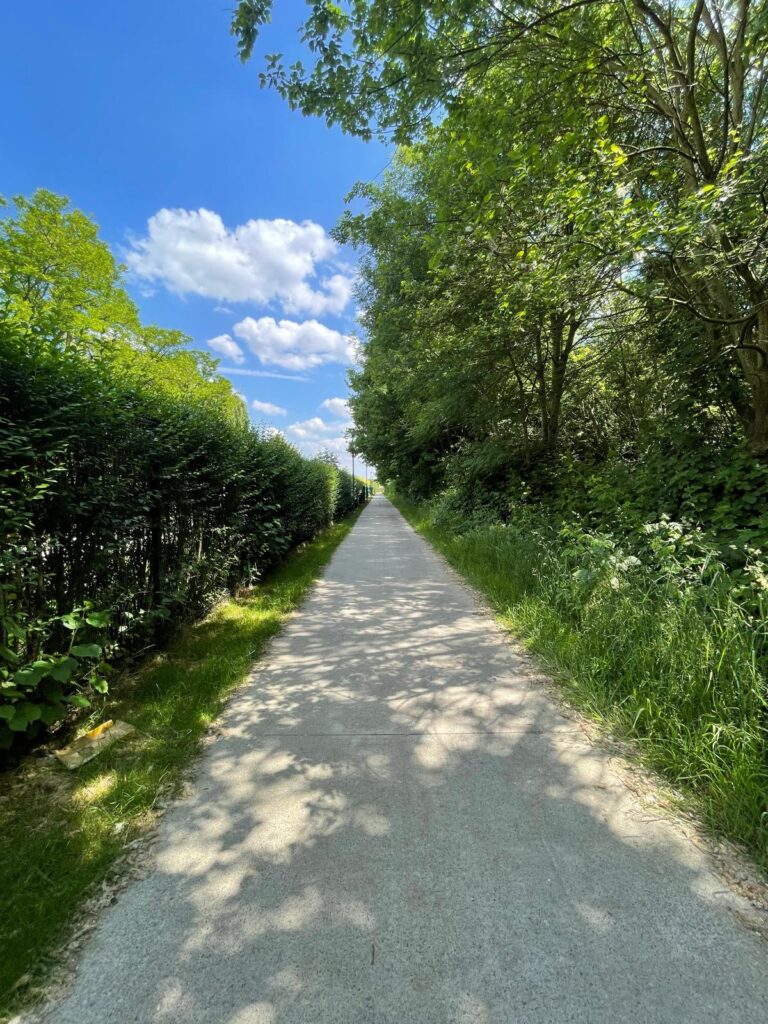 Concrete running path with hedges on one side and trees with street lamps on the other, showing typical urban weekday running route.
