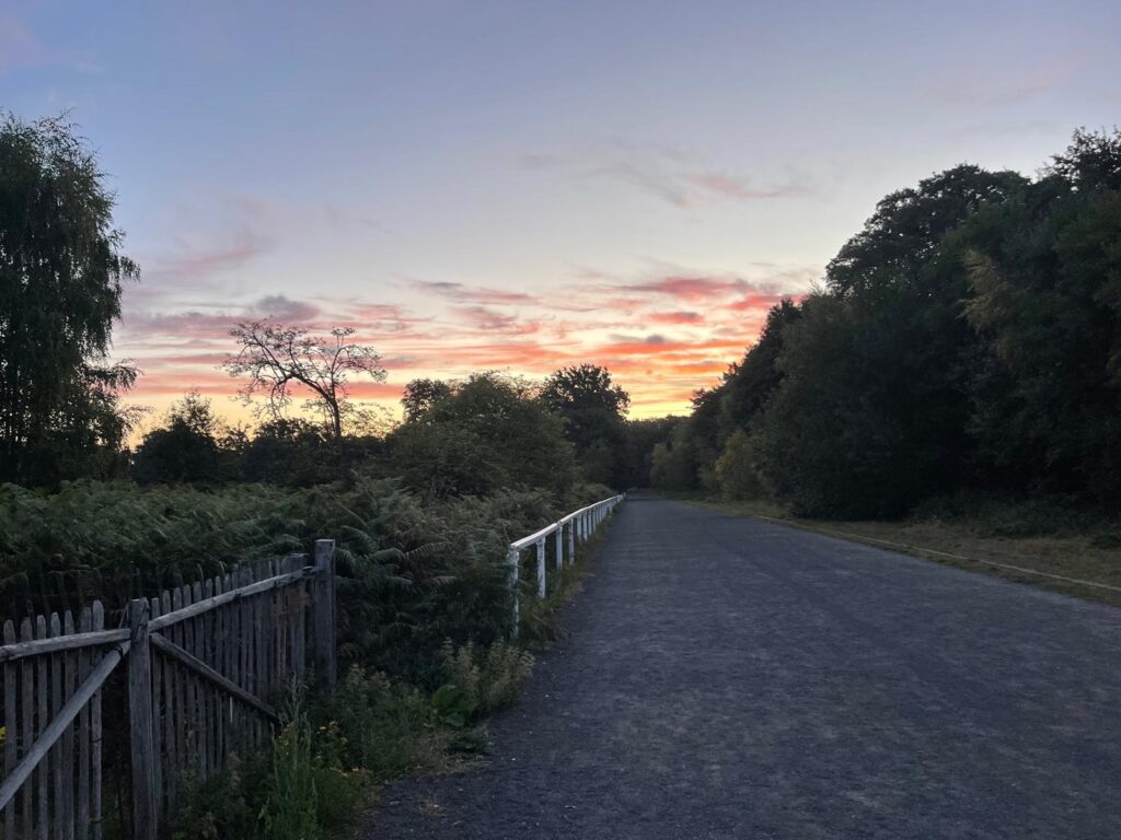 Forest trail at sunrise with colorful pink, red, and yellow sky, wooden fence on the left, and trees lining both sides of the trail.