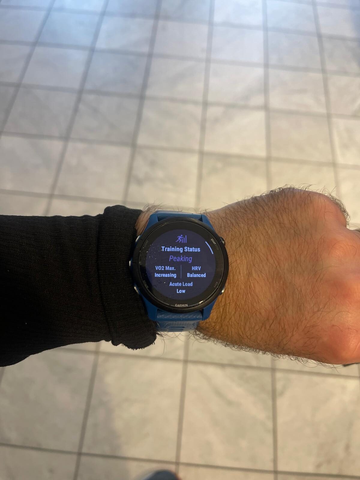 Garmin Forerunner 255 showing training status peaking, VO2 max increasing and acute load low the day before Brussels Airport Marathon 2025